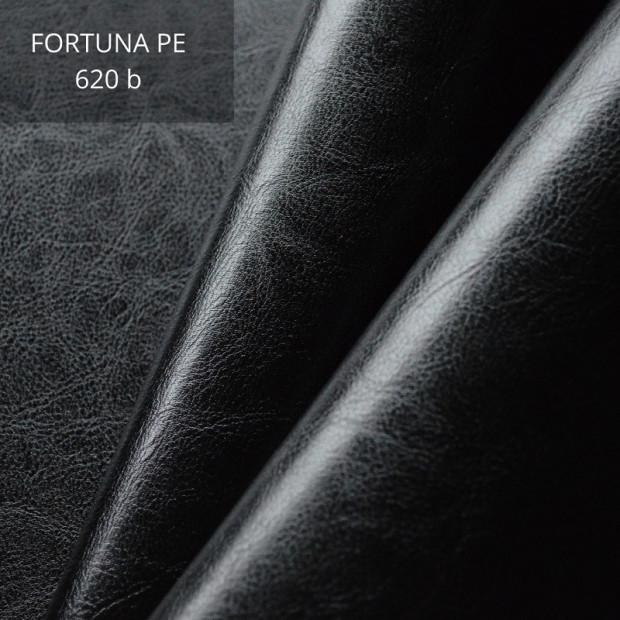 Fortuna PE 620b