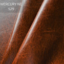 Mercury NE 529