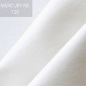 Mercury NE 120