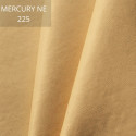 Mercury NE 225