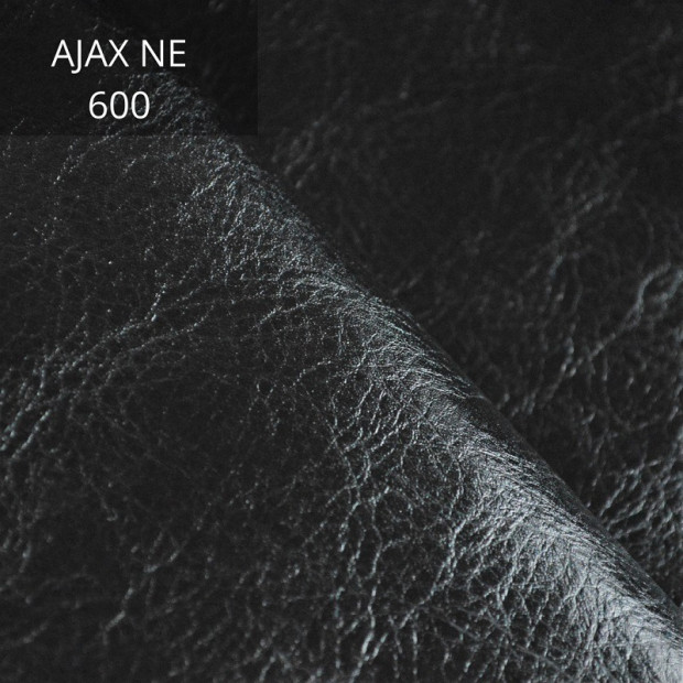Ajax NE 600