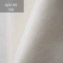 Ajax NE 100