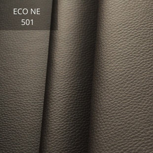 Eco NE 501