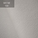 Sky NE 100